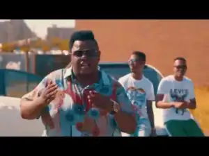 Video: Dladla Mshunqisi – Cothoza Ft. Target & Ndile